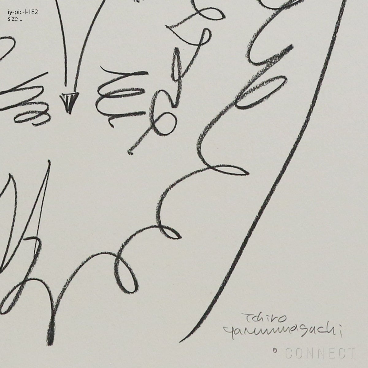 山口一郎 / Lサイズ / ライオン / iy-pic-l-182