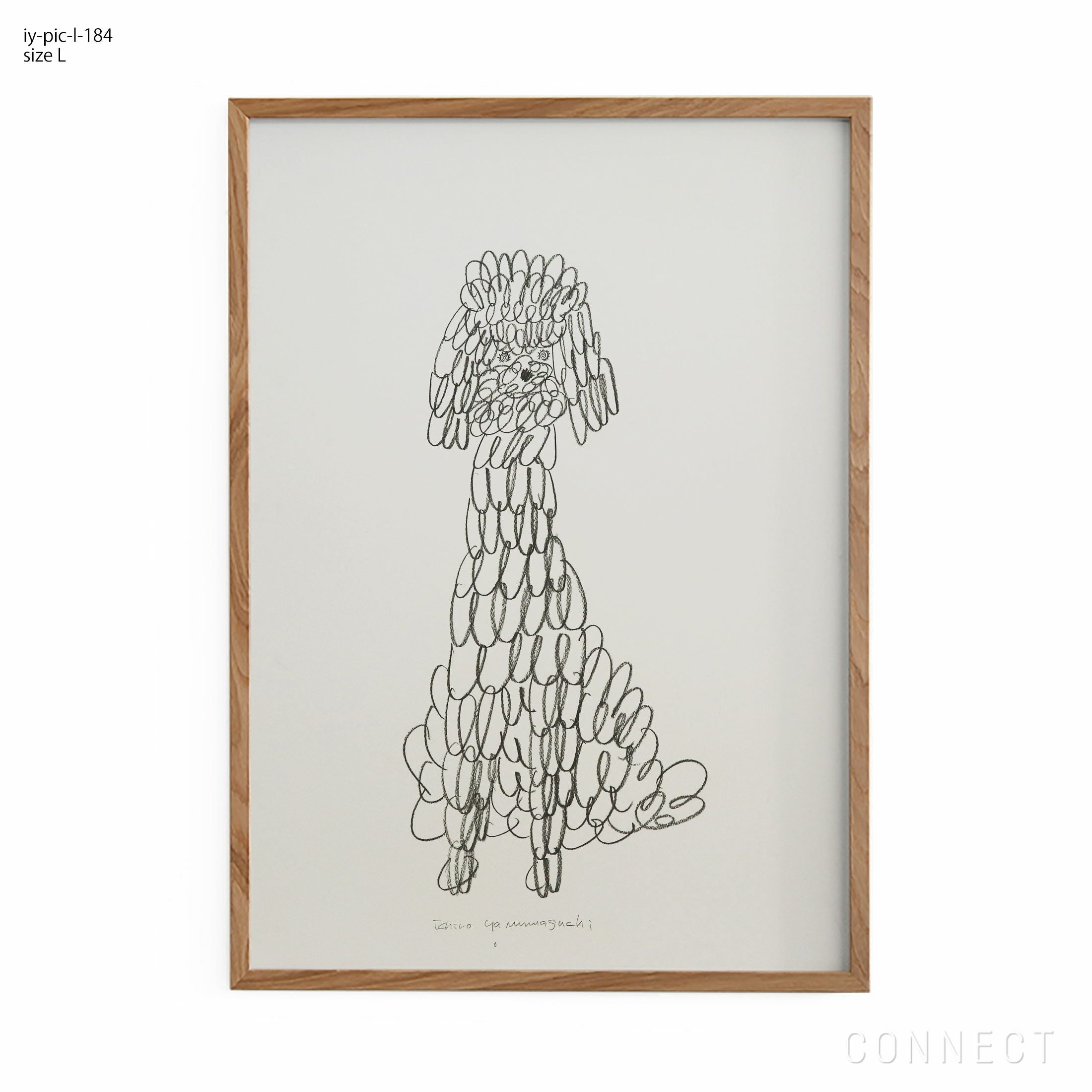 販売終了］山口一郎 / Lサイズ / トイプードル / iy-pic-l-184 | CONNECT