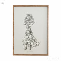 山口一郎 / Lサイズ / トイプードル / iy-pic-l-184