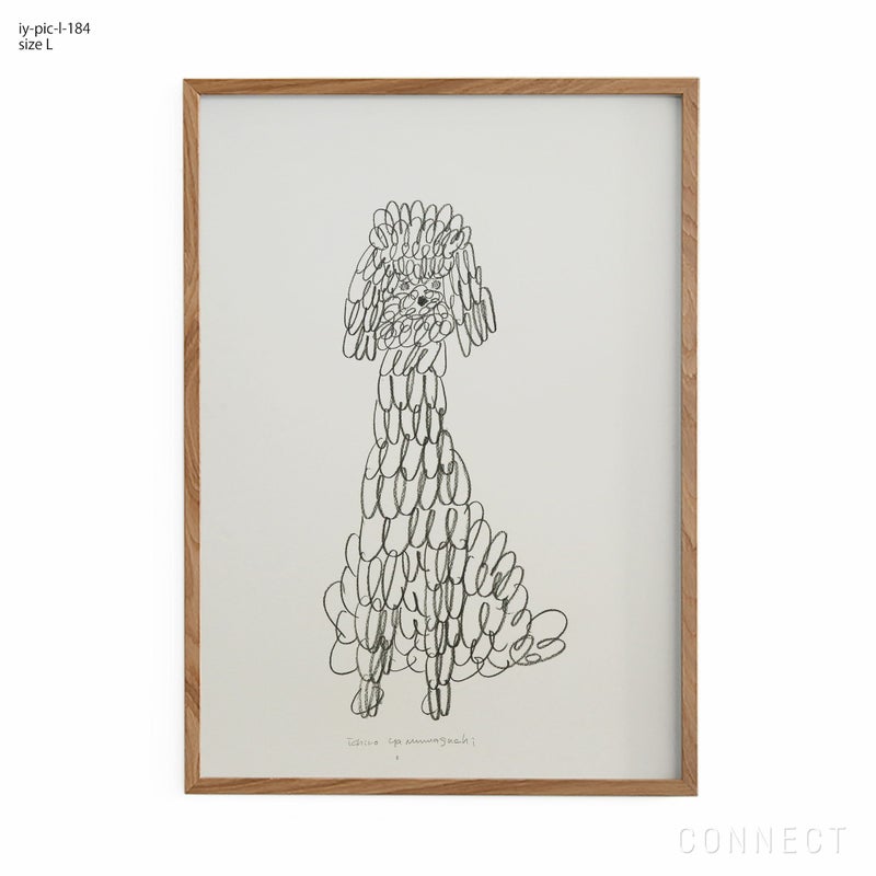 山口一郎 / Lサイズ / トイプードル / iy-pic-l-184