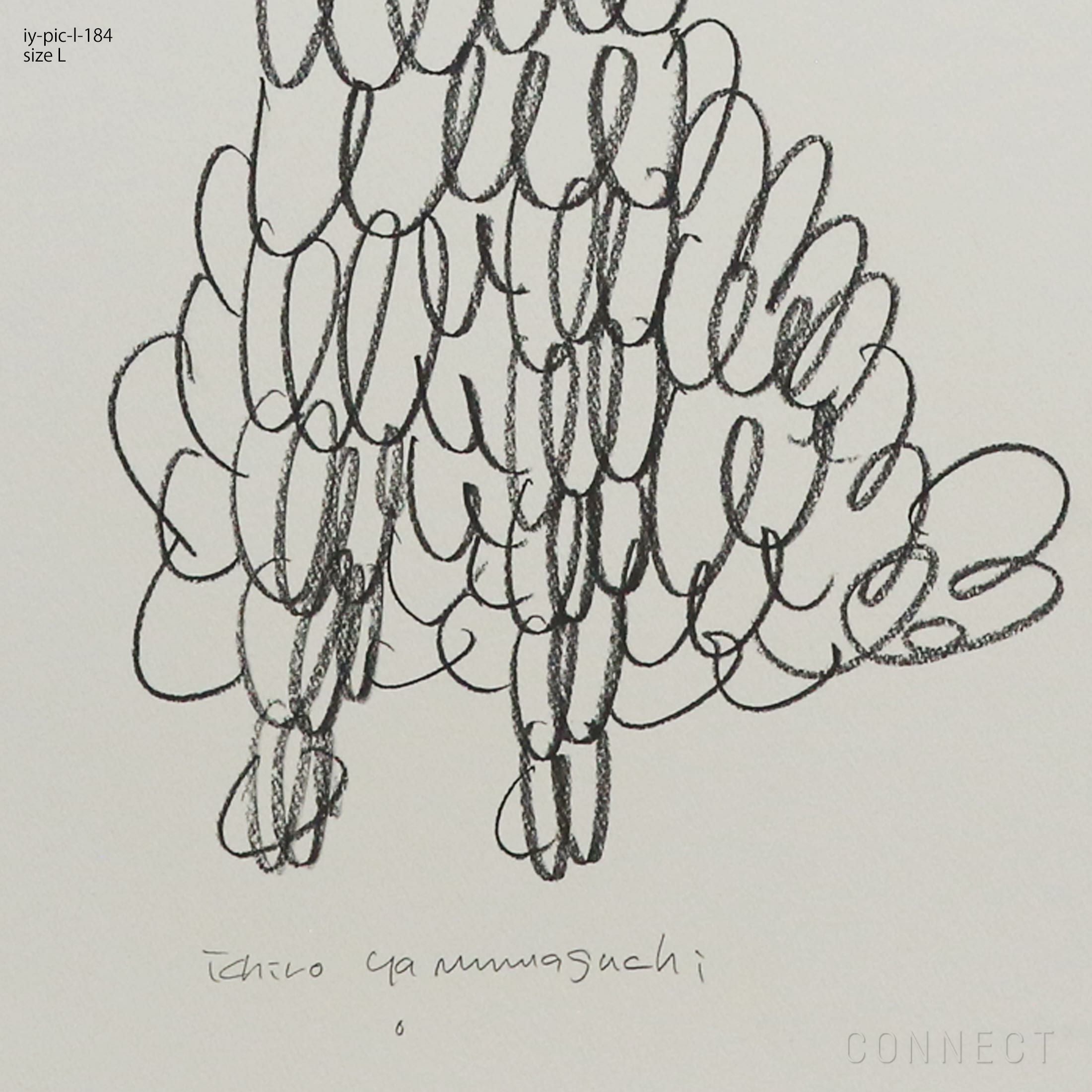 販売終了］山口一郎 / Lサイズ / トイプードル / iy-pic-l-184 | CONNECT