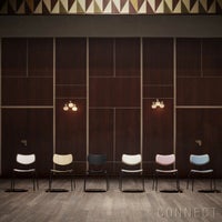 CARL HANSEN & SON（カール・ハンセン＆サン） / VLA26T VEGA CHAIR（ヴェガチェア） / オーク材・ブラック塗装 / ダイニングチェア