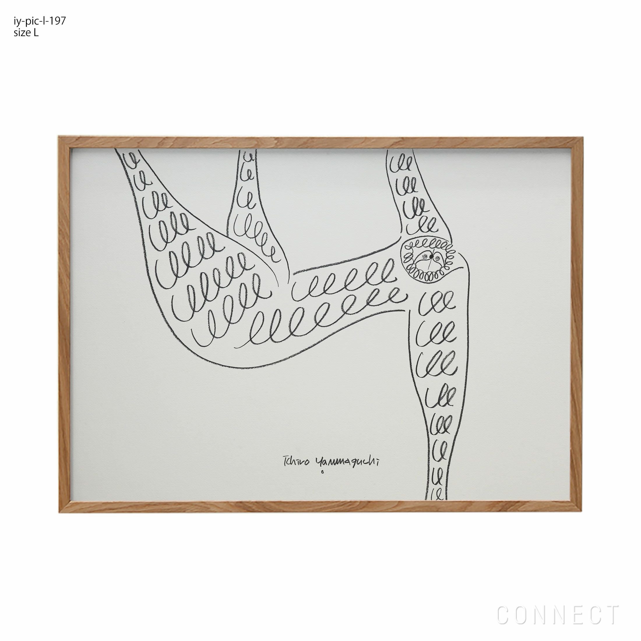 販売終了］山口一郎 / Lサイズ / ナマケモノ / iy-pic-l-197 | CONNECT