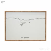 山口一郎 / Lサイズ / カモメ / iy-pic-l-199