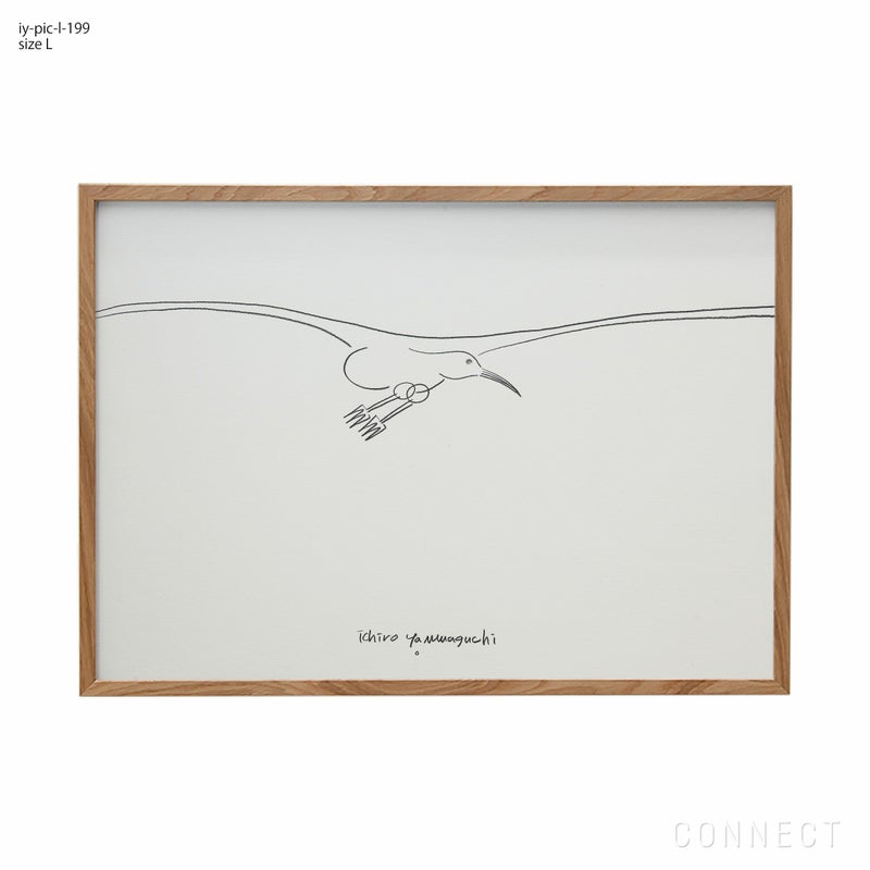 山口一郎 / Lサイズ / カモメ / iy-pic-l-199