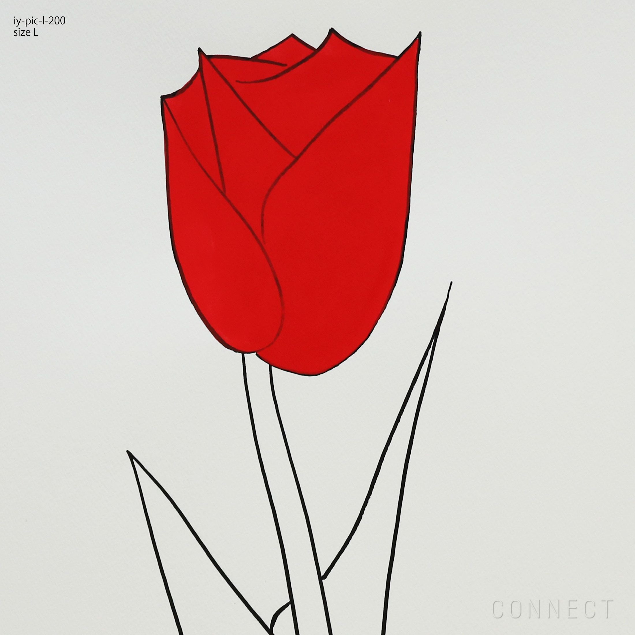 販売終了］山口一郎 / Lサイズ / チューリップ / iy-pic-l-200 | CONNECT