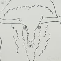 山口一郎 / Lサイズ / アメリカンバッファロー / iy-pic-l-216