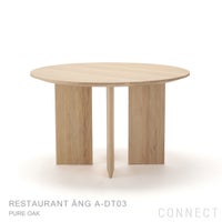 KARIMOKU CASE STUDY（カリモクケーススタディ） / RESTAURANT ÄNG A-DT03 / ASHIZAWAダイニングテーブル