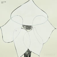 山口一郎 / Lサイズ / クリスマスローズ / iy-pic-l-206