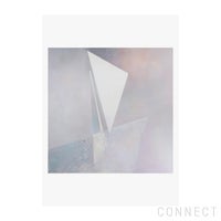 THE POSTER CLUB（ザ・ポスタークラブ） / ALIUM（アリウム） × Wan Yang（ワン・ヤン） / Rustling II 50×70cm / ポスターのみ（フレームなし）