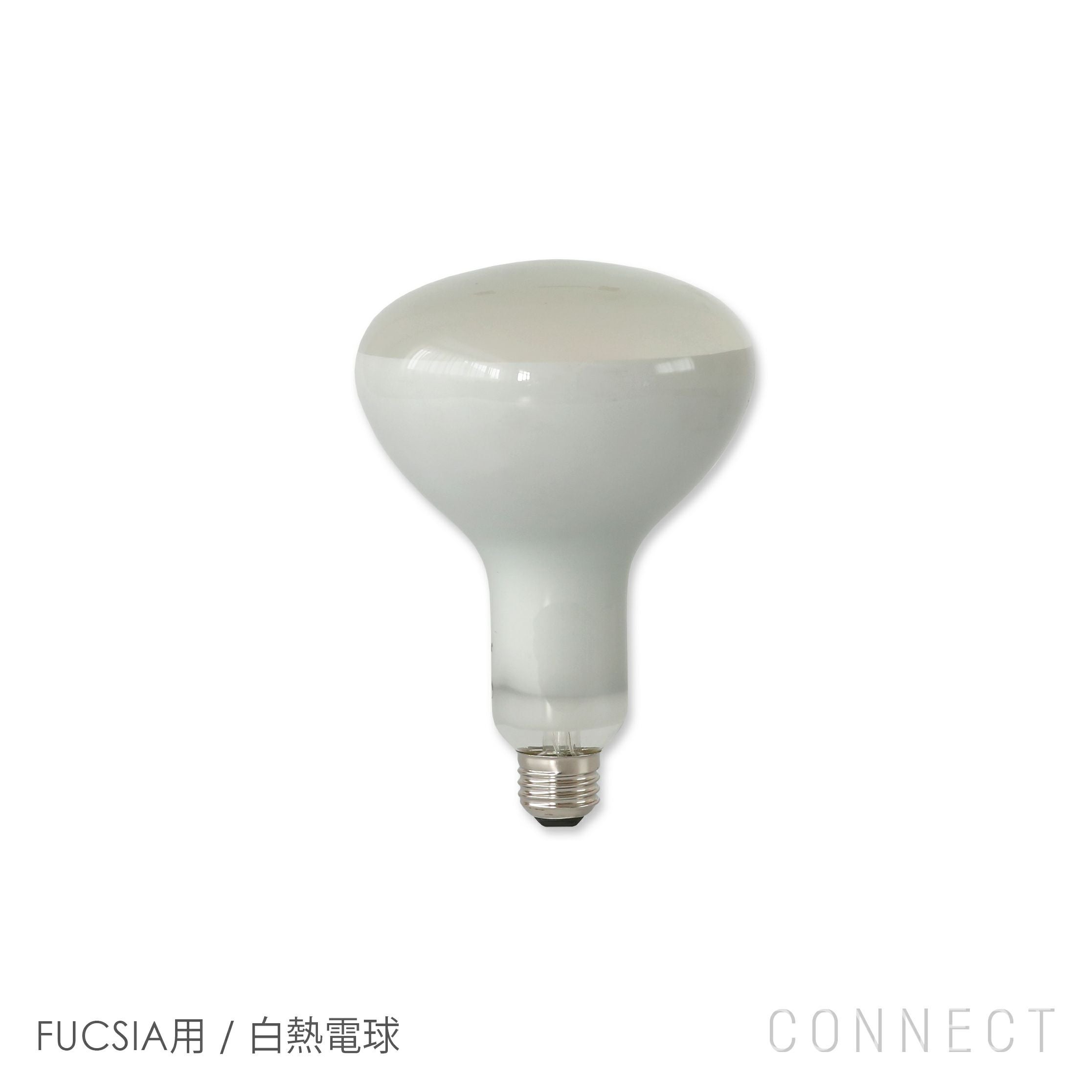 交換用】FLOS（フロス） / FUCSIA（フーシア）用（白熱仕様） / 電球