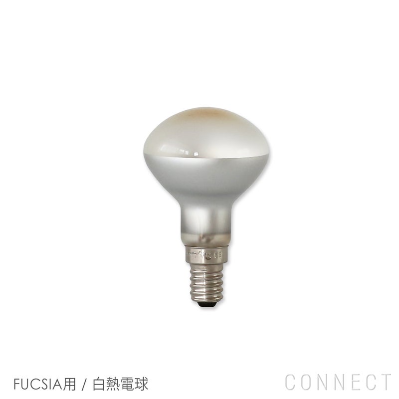 【交換用】FLOS（フロス） / FUCSIA（フーシア）用（白熱仕様） / 電球 / リフレクターランプ