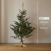 SKAGERAK（スカゲラック） / Stella Christmas Tree Base（ステラ クリスマスツリー ベース） / ウッドベース