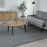 KASTHALL（カスタール） / HARPER（ハーパー） / Silver Willow 551（240cm×240cm） / ラグ