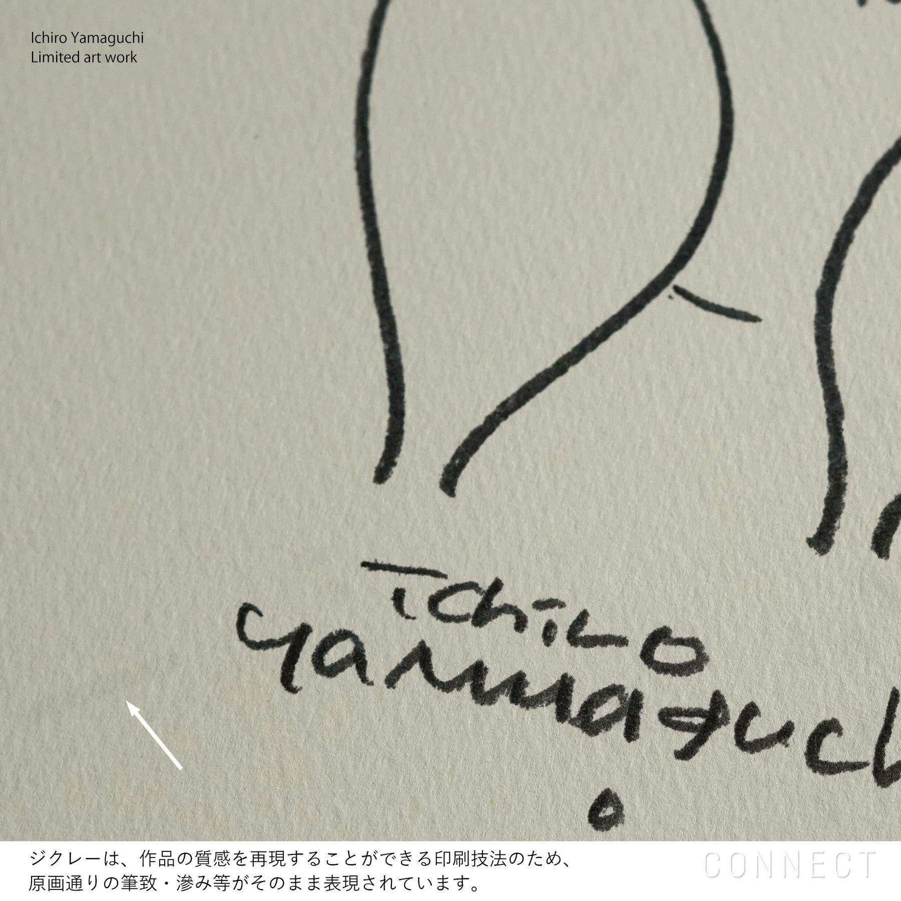 【数量限定】山口一郎 / Giclee（ジクレー印刷）「クオッカ」 / Sサイズ / アートポスター