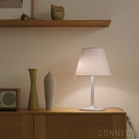 Artemide（アルテミデ） / Melampo Notte（メランポ ノッテ） / シルバー / テーブルランプ