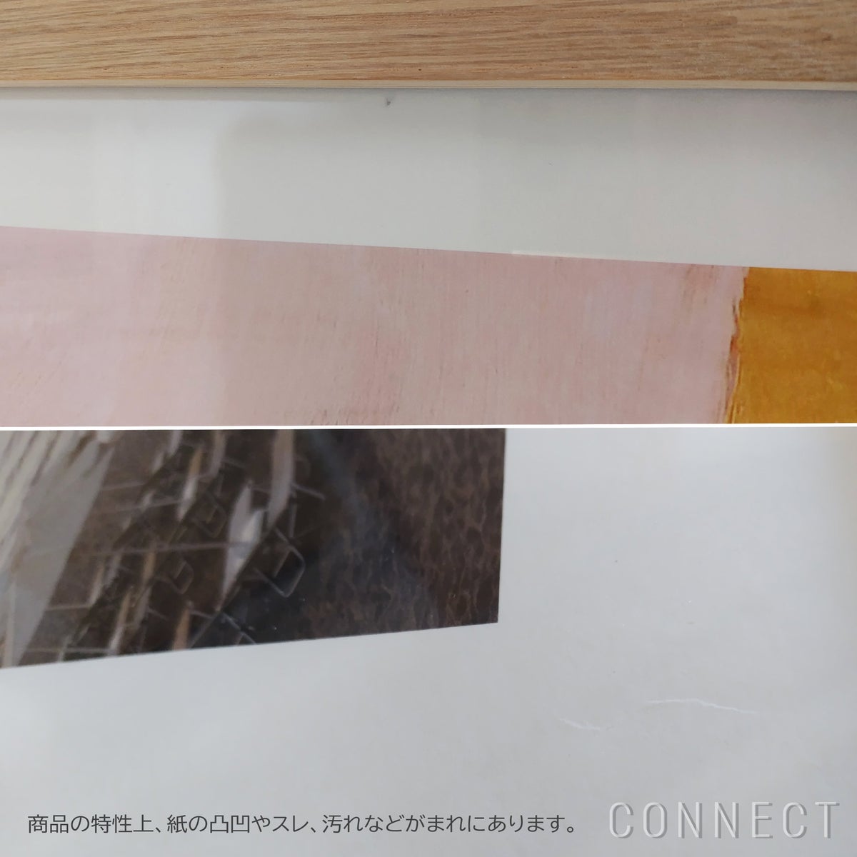 THE POSTER CLUB（ザ・ポスタークラブ） / Berit Mogensen Lopez（ベリット・モゲンセン・ロペス） / Transparent Rose 70×100cm