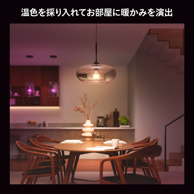 Philips Hue（フィリップスヒュー） / フルカラー E26 LED電球 100W形相当 PH10WC1-SU / スマート電球