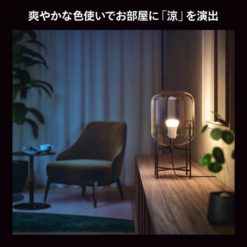 Philips Hue（フィリップスヒュー） / フルカラー E26 LED電球 75W形相当 PH75WC1-SU / スマート電球