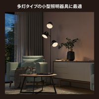 Philips Hue（フィリップスヒュー） / ホワイト E17 LED電球 40W形相当 PH17WH1 / スマート電球