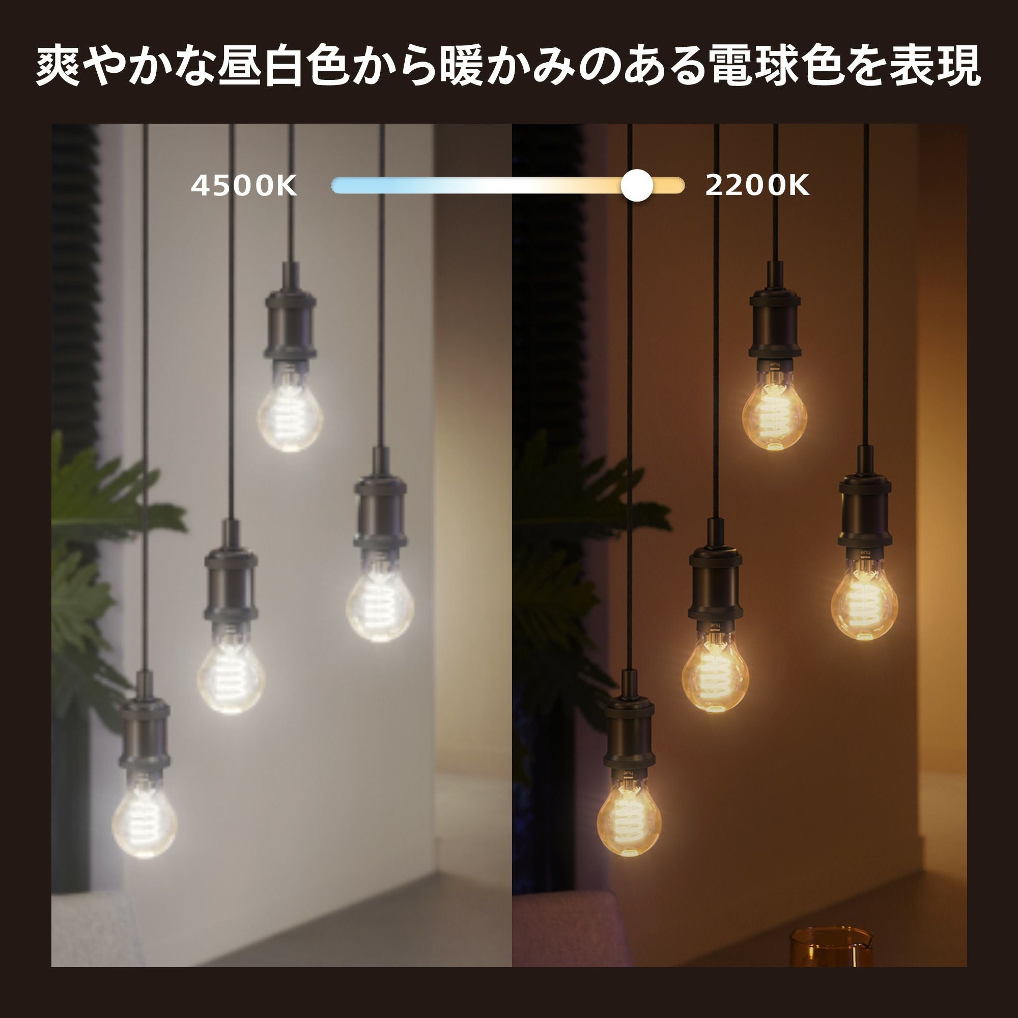 Philips Hue（フィリップスヒュー） / フィラメント ホワイト