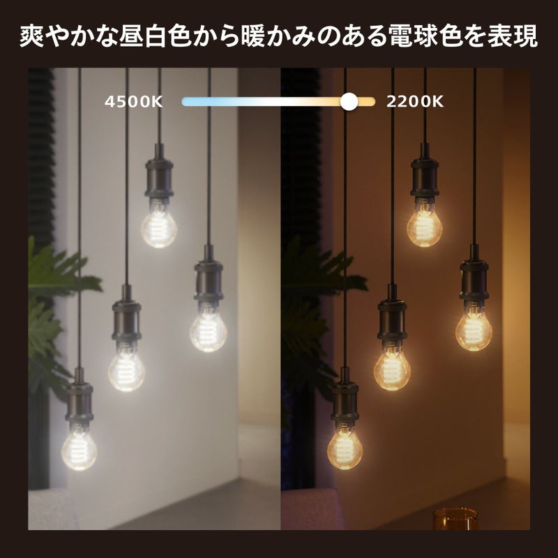 Philips Hue（フィリップスヒュー） / フィラメント ホワイトグラデーション E26 電球 一般電球形 40W相当 PHFL60 / スマート電球