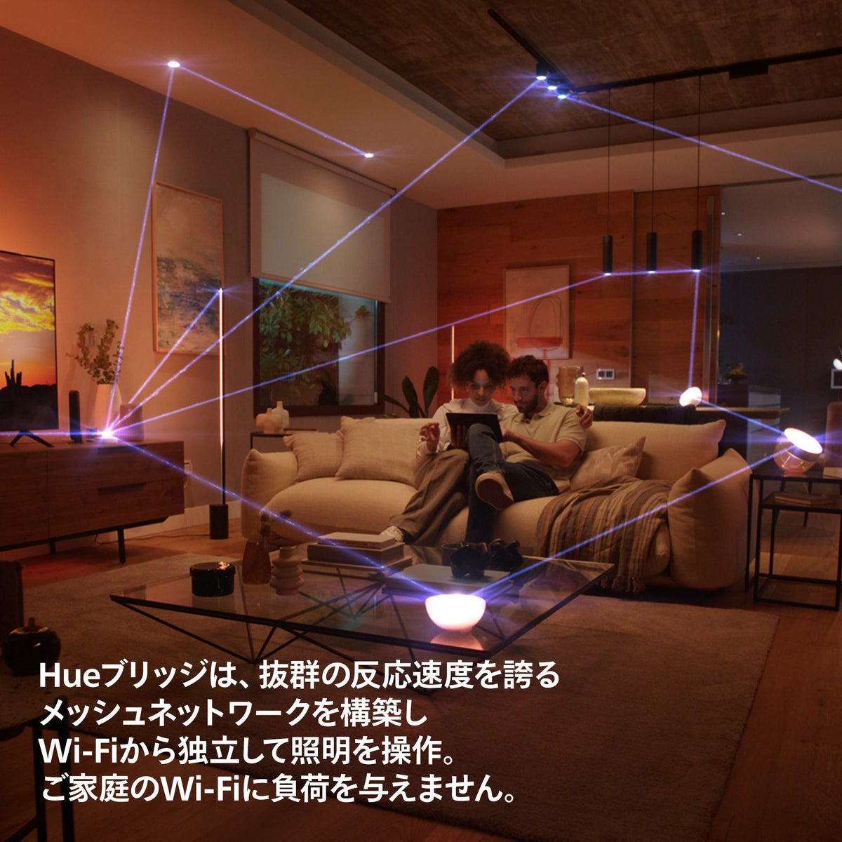 Philips Hue（フィリップスヒュー） / Hue ブリッジ / スマート電球用アクセサリー