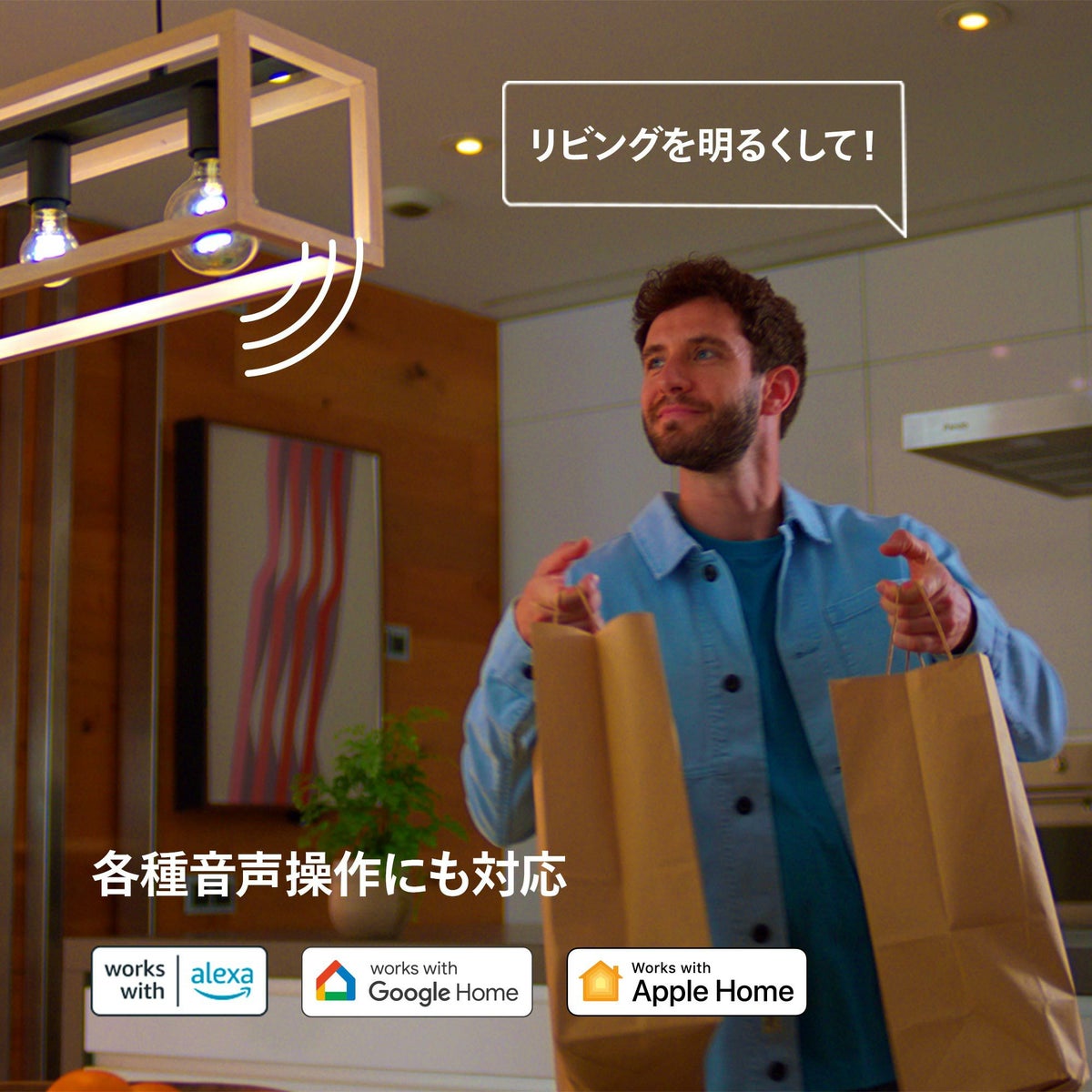 Philips Hue（フィリップスヒュー） / Hue ブリッジ / スマート電球用アクセサリー