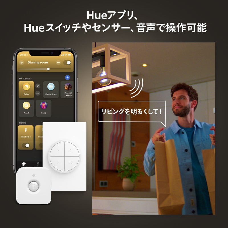 Philips Hue（フィリップスヒュー） / Hue ブリッジ / スマート電球用アクセサリー