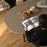 FRITZ HANSEN / TABLE SERIES（テーブルシリーズ）B616 / スーパー楕円テーブル / ブラウンオッタワ / ブラウンブロンズ脚