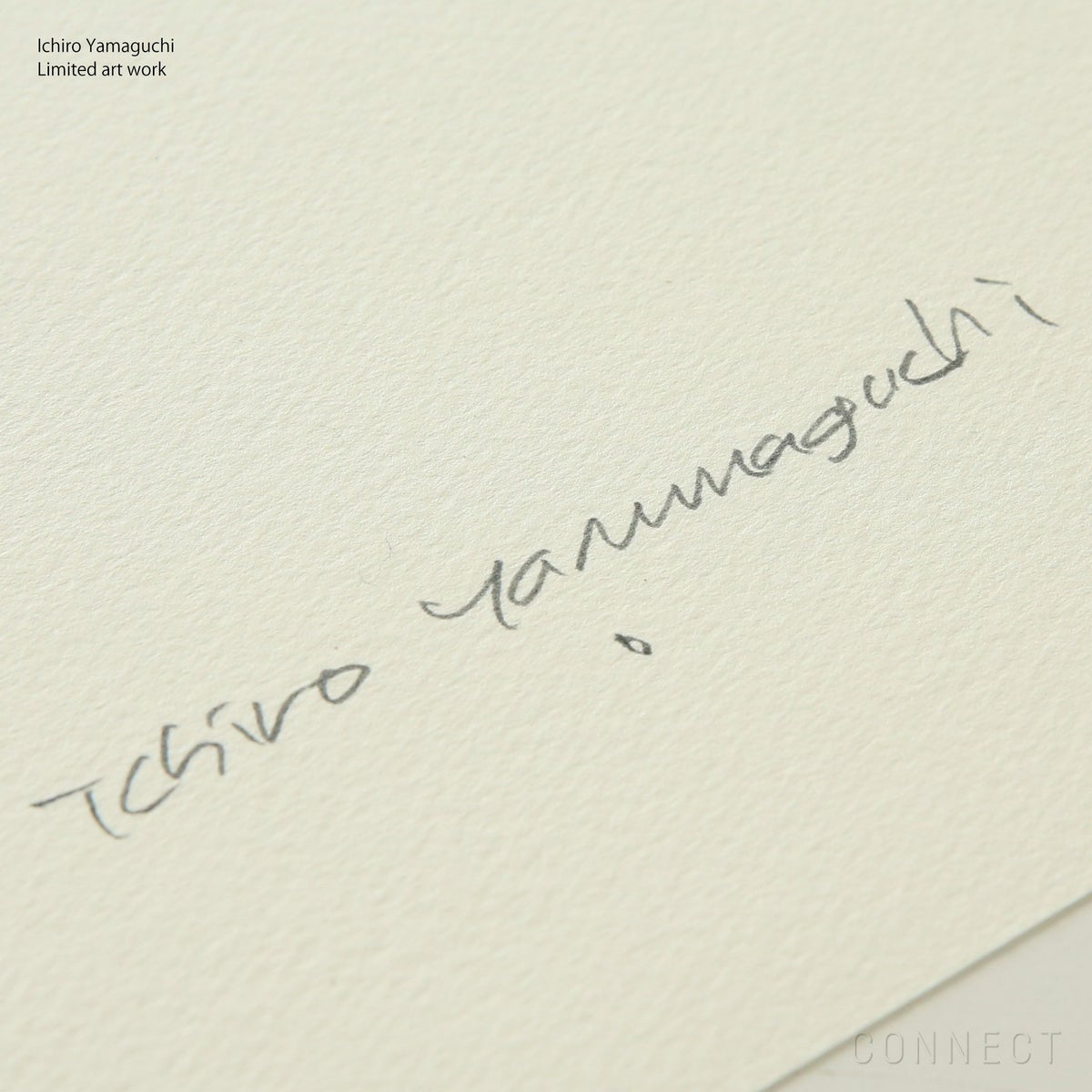 【数量限定】山口一郎 / Giclee（ジクレー印刷）「カモメ」 / Lサイズ / アートポスター