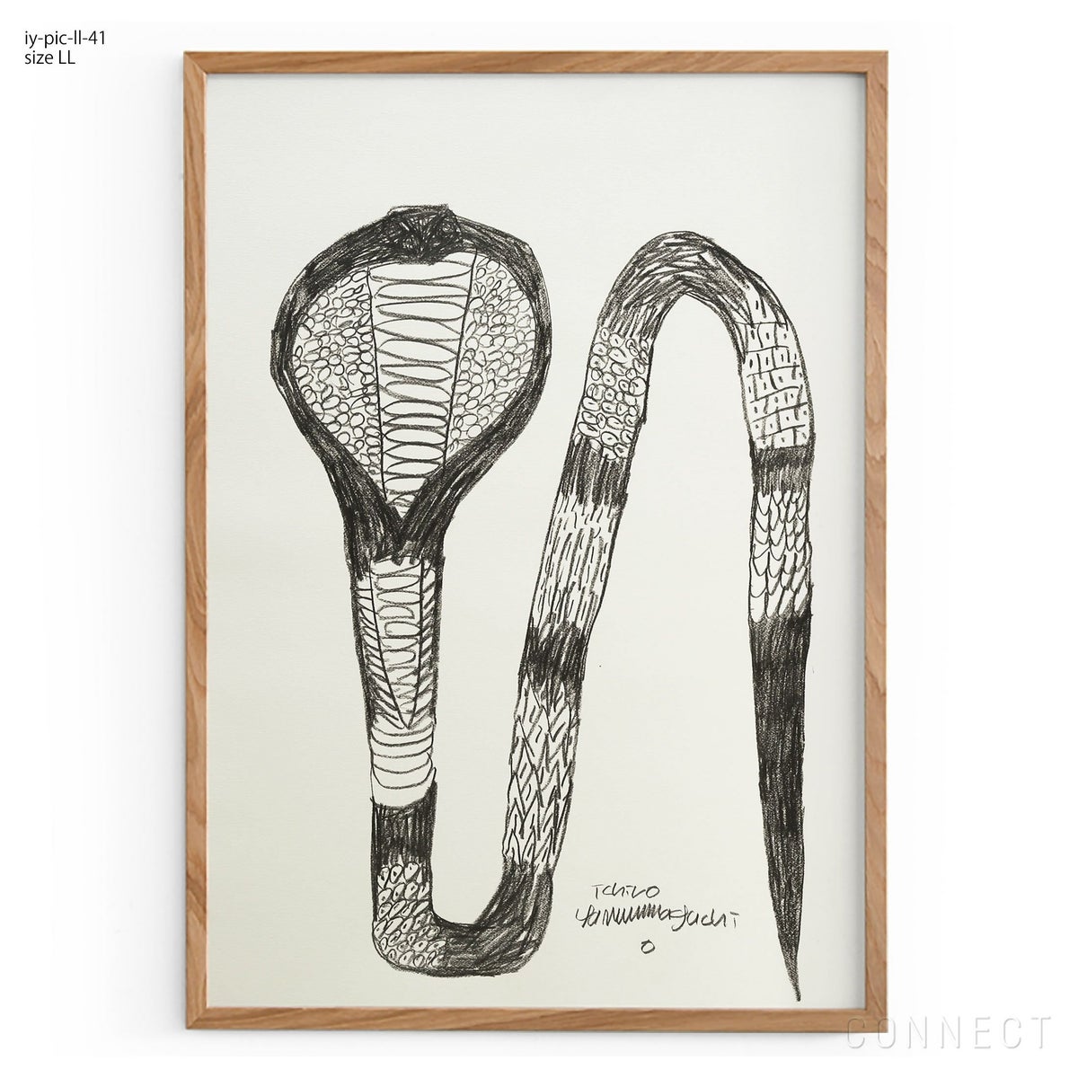 山口一郎 / LLサイズ / 干支コブラ / iy-pic-ll-41