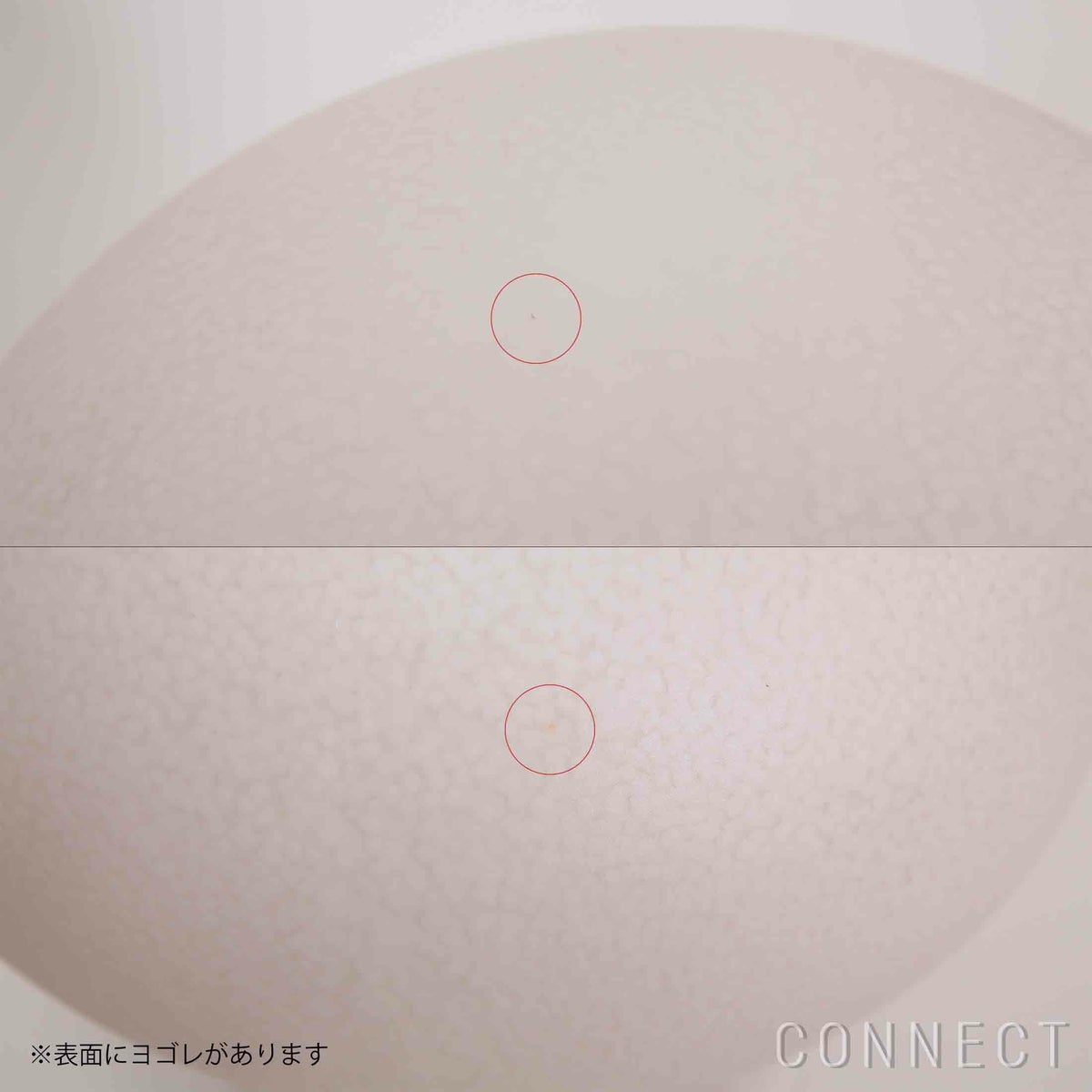 【アウトレット】MAGIS（マジス） / LINNUT（リンナット） / Palturi（パルトゥリ） / マスコットランプ