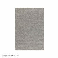 KASTHALL（カスタール） / GOOSE EYE SELECTION（グース アイ セレクション） / 195×300cm / ラグ