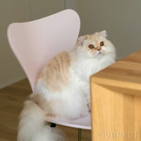 【70周年記念モデル】FRITZ HANSEN（フリッツ・ハンセン） / SERIES 7（セブンチェア） / 7:14AM / ラッカー / レインボー（スチール脚・亜鉛クローム仕上げ） 《2025年限定脚カラー》