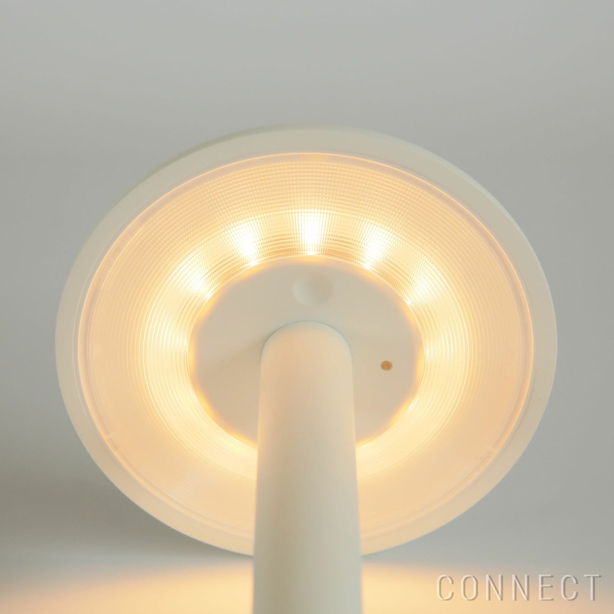 【アウトレット】FLOS（フロス） / GUSTAVE（グスタヴ） / マットカラー / マットホワイト / テーブルランプ