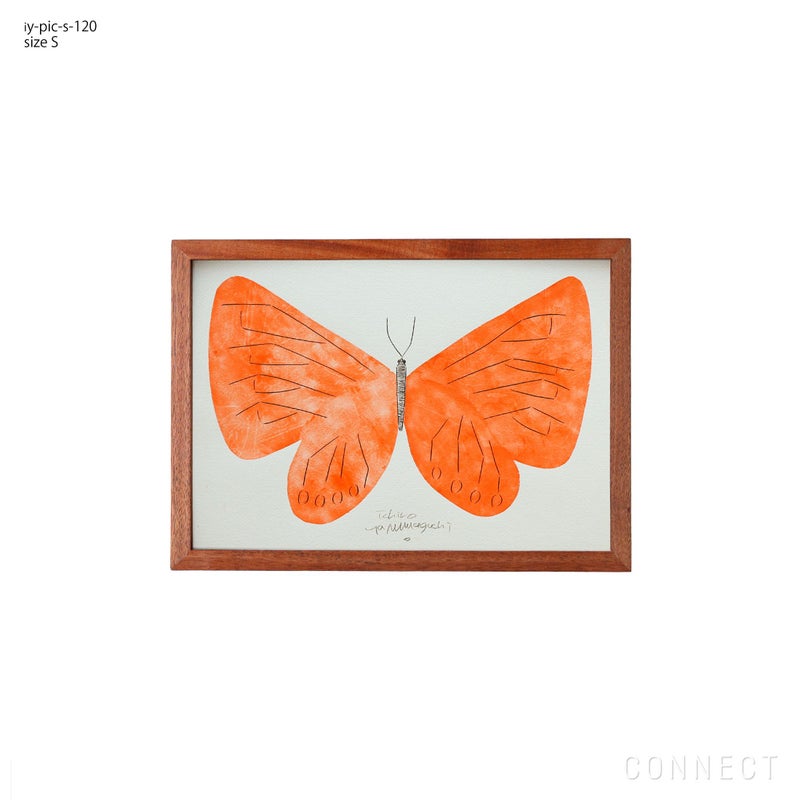 山口一郎 / Sサイズ / iy-pic-s-120