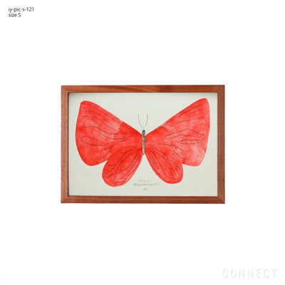 販売終了］山口一郎 / Sサイズ / 蝶 / iy-pic-s-120 | CONNECT