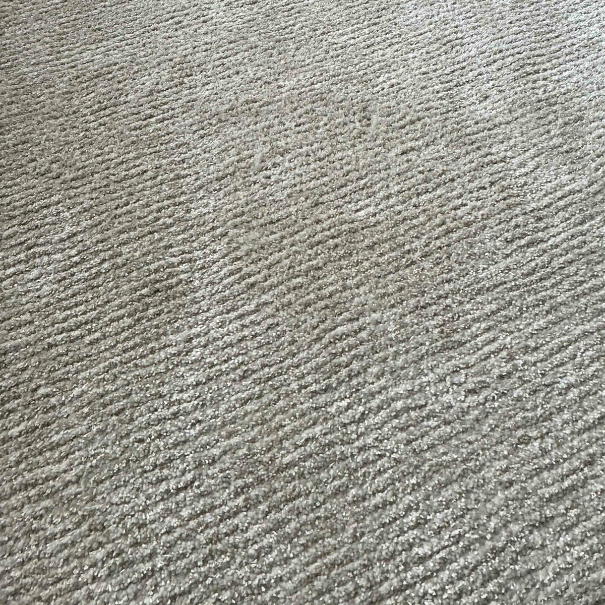 【アウトレット】KASTHALL（カスタール） / SPIRE（スピーレ） / KALK 881（170×240cm） / ラグ