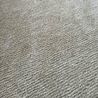 【アウトレット】KASTHALL（カスタール） / SPIRE（スピーレ） / KALK 881（170×240cm） / ラグ