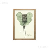 山口一郎 / Giclee（ジクレー印刷）「花 / S-10」 / Sサイズ / アートポスター