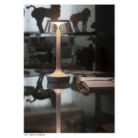 FLOS（フロス） / BON JOUR UNPLUGGED（ボンジュール アンプラグド） / 全5色 / テーブルランプ