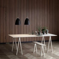 FRITZ HANSEN（フリッツ・ハンセン） / Caravaggio Matt（カラヴァッジオ マット） / ブラック / P2：φ258mm / ペンダントライト 