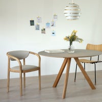 Karimoku New Standard（カリモク ニュースタンダード） / CHESA CHAIR PAD（チェーサチェアパッド） / 全5色