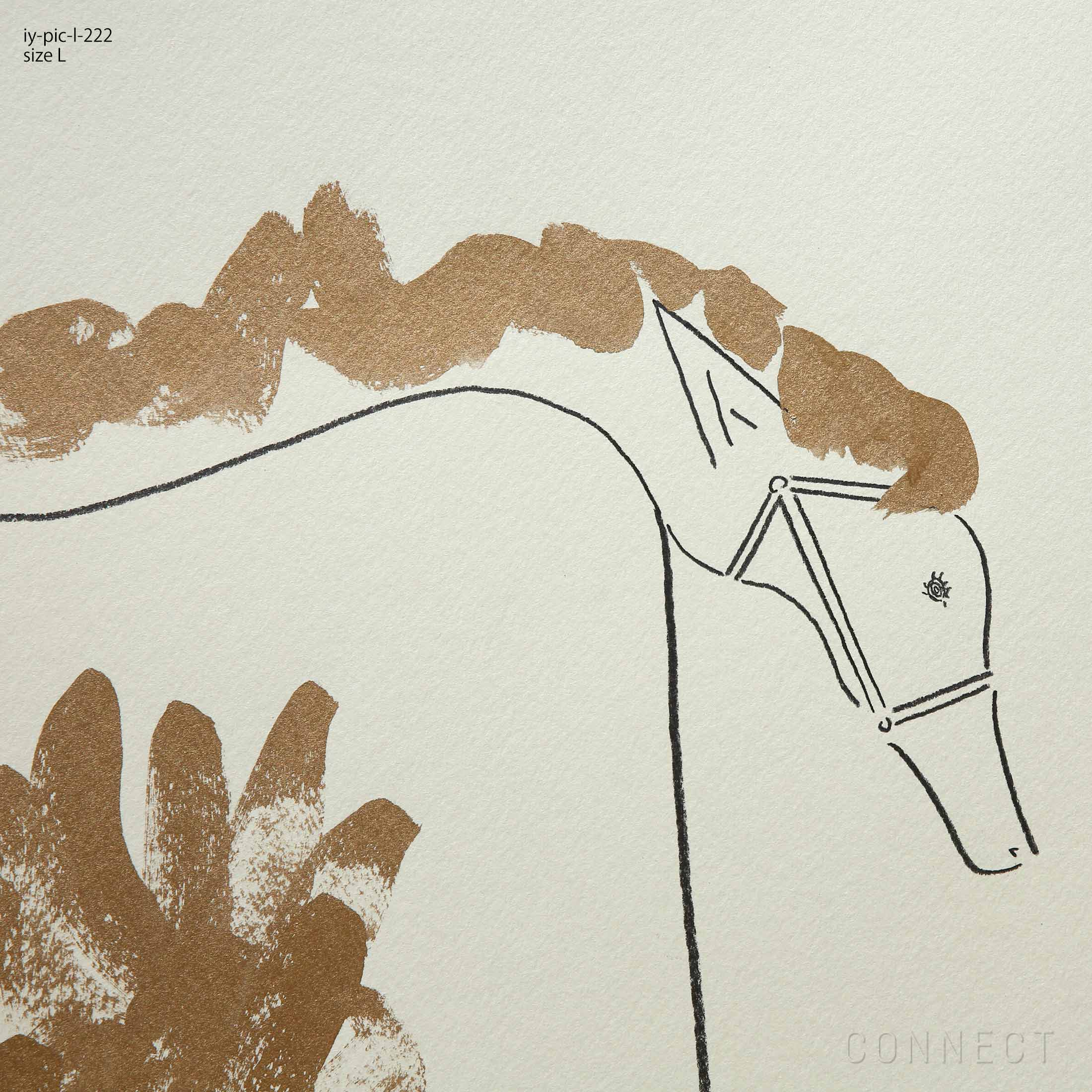 販売終了］山口一郎 / Lサイズ / 馬金 / iy-pic-l-222 | CONNECT