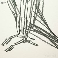 山口一郎 / Lサイズ / ペンギン / iy-pic-l-220