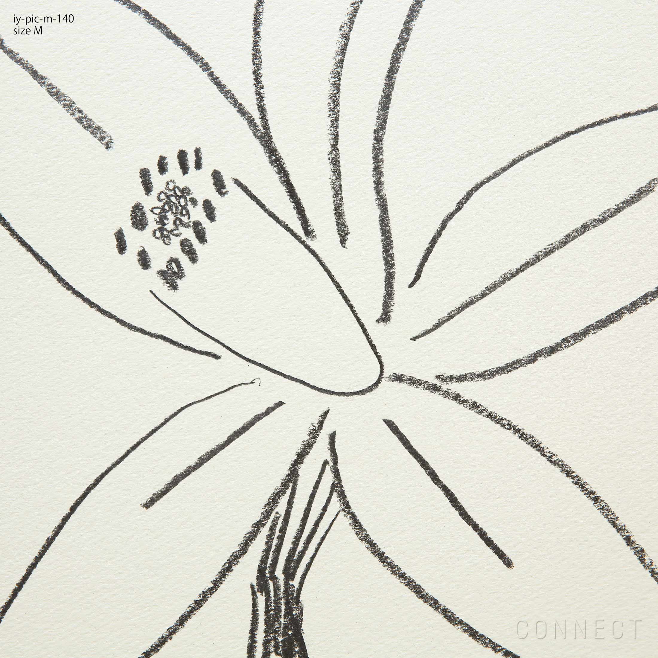 販売終了］山口一郎 / Mサイズ / すだちの花 / iy-pic-m-140 | CONNECT