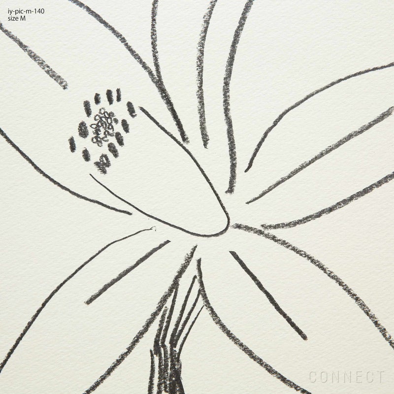 山口一郎 / Mサイズ / すだちの花 / iy-pic-m-140