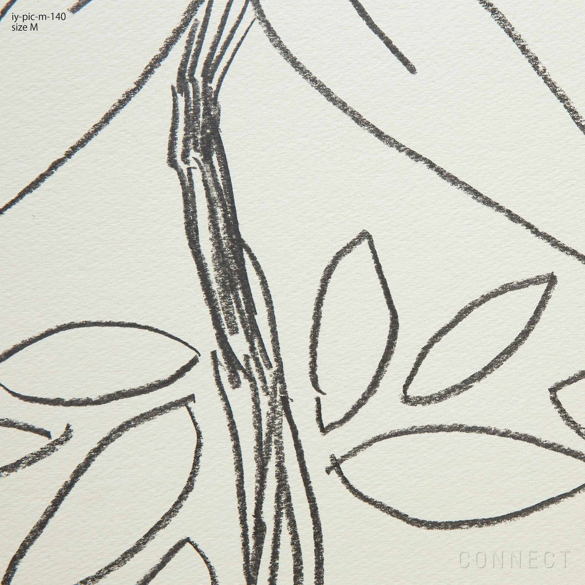 山口一郎 / Mサイズ / ゆずの花 / iy-pic-m-140