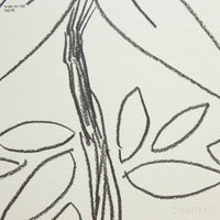 山口一郎 / Mサイズ / ゆずの花 / iy-pic-m-140